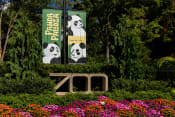 Thumbnail 26 of 44 - a sign for the zoo in front of some flowers