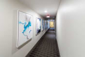 Thumbnail 26 of 41 - a hallway with paintings on the wall and a carpeted floor