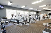 Thumbnail 7 of 22 - a gym with weights and cardio machines and windows