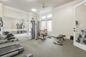 Thumbnail 26 of 43 - the gym at the enclave at woodbury apartments gym
