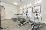 Thumbnail 27 of 43 - the gym with treadmills and ellipticals at the preserve at great neck apartments