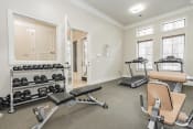 Thumbnail 29 of 43 - the gym at the preserve apartments