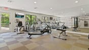 Thumbnail 24 of 44 - the gym at the enclave at woodbridge apartments in sugar land, tx