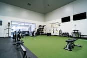 Thumbnail 40 of 42 - a gym with weights and other exercise equipment on a green carpet
