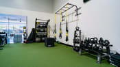 Thumbnail 35 of 42 - a gym with green carpet and weights on the wall