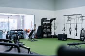 Thumbnail 37 of 42 - a gym with weights and other exercise equipment on a green carpet