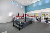 Thumbnail 22 of 41 - a gym with a seesaw and weights in a building with white and blue walls