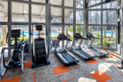 Thumbnail 23 of 30 - fitness center in apartments near clear lake