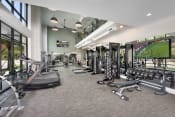 Thumbnail 20 of 48 - a gym with cardio machines and weights and a large tv