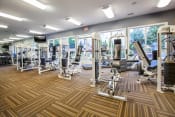 Thumbnail 6 of 22 - a gym with cardio machines and weights on a wooden floor