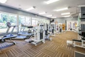 Thumbnail 5 of 22 - a gym with cardio machines and weights on a wooden floor