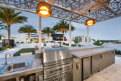 Thumbnail 39 of 48 - the outdoor kitchen has stainless steel appliances and a view of the pool and palm trees