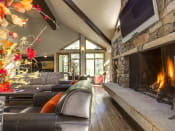Thumbnail 17 of 20 - lobby with fire place
