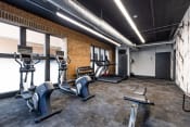 Thumbnail 19 of 22 - Modern Fitness Center at Harness Factory Lofts and Apartments, Indianapolis, 46204