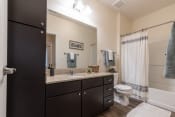 Thumbnail 31 of 34 - Bathroom With Bathtub at 310 at Nulu Apartments, Kentucky