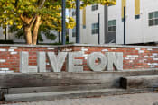 Thumbnail 44 of 81 - a brick wall with the word live on it in front of a building