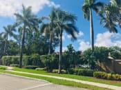 Thumbnail 14 of 19 - Landscape near road Golden Lakes Apartments Miami Florida
