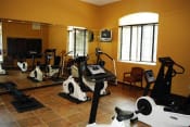 Thumbnail 18 of 19 - Gym with cardio and weight  fitness equipment