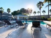 Thumbnail 6 of 28 - Oaks at Pompano resort style swimming pool lined with palm trees and lounge chairs