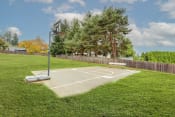 Thumbnail 22 of 28 - Apartments in Sherwood, OR- Township Sherwood- Basketball Court with Bench and Various Trees