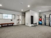 Thumbnail 13 of 14 - the gym at the preserve at great pond apartments in windsor, ct