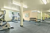 Thumbnail 10 of 49 - fitness center- free weights