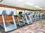 Thumbnail 13 of 32 - a row of treadmills and elliptical trainers in a fitness room