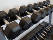 Thumbnail 18 of 25 - weights at shoreline landing's on-site fitness center
