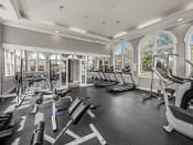 Thumbnail 21 of 33 - Apartment Fitness Center with Free Weights