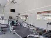 Thumbnail 24 of 28 - a home gym with treadmills and exercise bikes