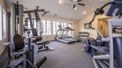 Thumbnail 17 of 23 - the gym at the enclave at woodbridge apartments in sugar land, tx