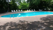 Thumbnail 6 of 6 - a swimming pool with chaise lounge chairs and trees in the background