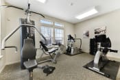 Thumbnail 7 of 15 - Fitness Center with Workout Equipment  at Summit Wood Apartments, New York, 13601