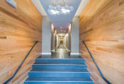 Thumbnail 3 of 13 - a view down a long hallway with blue stairs and wood walls