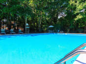 Thumbnail 9 of 11 - Sparkling Swimming Pool at The Forest Apartments in Rockville, MD