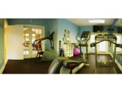 Thumbnail 11 of 16 - a home gym with a treadmill and exercise balls at Chesterfieldfield Garden Apartments, Chesterfield, Virginia
