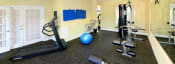 Thumbnail 33 of 36 - a gym with exercise equipment and a blue ball on the floor at Chester Village Green Apartments, Chester, VA