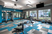 Thumbnail 12 of 30 - a gym with weights and cardio equipment in a multifunctional room