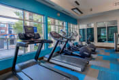 Thumbnail 11 of 30 - a gym with cardio equipment and large windows