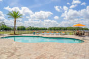 Thumbnail 2 of 37 - our apartments have a resort style pool and patio