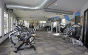 Thumbnail 25 of 25 - a gym with cardio equipment and weights in a building with windows