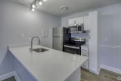 Thumbnail 2 of 16 - the preserve at ballantyne commons apartment kitchen with stainless steel appliances  at Beach Club, Florida, 33614