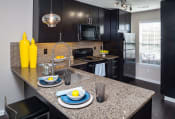 Thumbnail 21 of 40 - a kitchen with black cabinets and a granite counter top