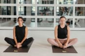 Thumbnail 34 of 39 - two women sitting on yoga mats in a yoga studio