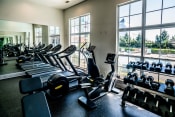 Thumbnail 13 of 25 - Fitness Center at Grand Island Apartments in Memphis TN 38103
