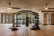 Thumbnail 17 of 18 - Fitness Center at Harrison Apartments, Sarasota, FL