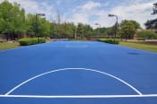 Thumbnail 12 of 17 - a blue sports court in a park with trees in the background