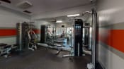 Thumbnail 8 of 17 - a large fitness room with cardio machines and weights