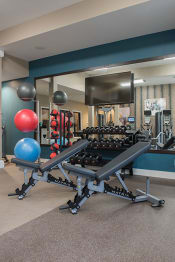 Thumbnail 13 of 19 - Fitness Center With Modern Equipment at The Pointe at St. Joseph Apartments, South Bend