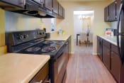 Thumbnail 5 of 29 - our apartments showcase a modern kitchen at Riverset Apartments in Mud Island, Memphis, TN